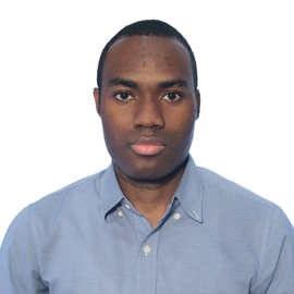 Stephen Temitayo Bello